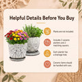 Gepege 6 Inch Beaded Ceramic Planter Set of 2 with Drainage Hole and Saucer for Plants, Indoor-Outdoor Large Round Succulent Orchid Flower Pot