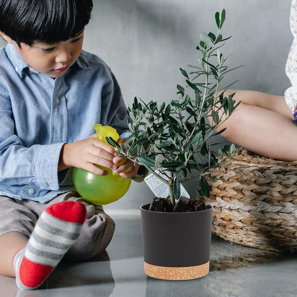 QCQHDU 5 inch Plant Pot, 2 Pack Planters for Indoor Plants with Drainage Holes & Saucer, Outdoor Flower Pots Home Garden Modern Decor Dark Grey 5 inch