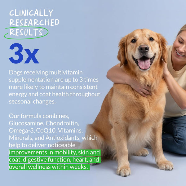 Multivitamin for Dogs 120 Tablets - Glucosamine, Fish Oil & CoQ10 | With Glucosamine, Chondroitin, Fish Oil & CoQ10. Supports joint, skin, heart,