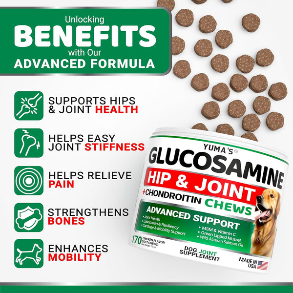 YUMA'S Glucosamine for Dogs - Hip and Joint Supplement for Dogs - 170 Ct - Glucosamine Chondroitin Chews - Joint Pain Relief Supplement with MSM -