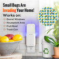 Mosalogic Fruit Fly Traps for Indoors Gnat Trap for House Indoor-600 Sqft Protection Area UV Fly Insect Trapper for Fruit Flies?Gnat?Mosquito?And