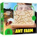 Dan&Darci Ant Farm Kit for Kids - Farms Colony - Includes Ants Voucher - Sand Habitat Kits - Bug Terrarium House - Educational Science Gifts for