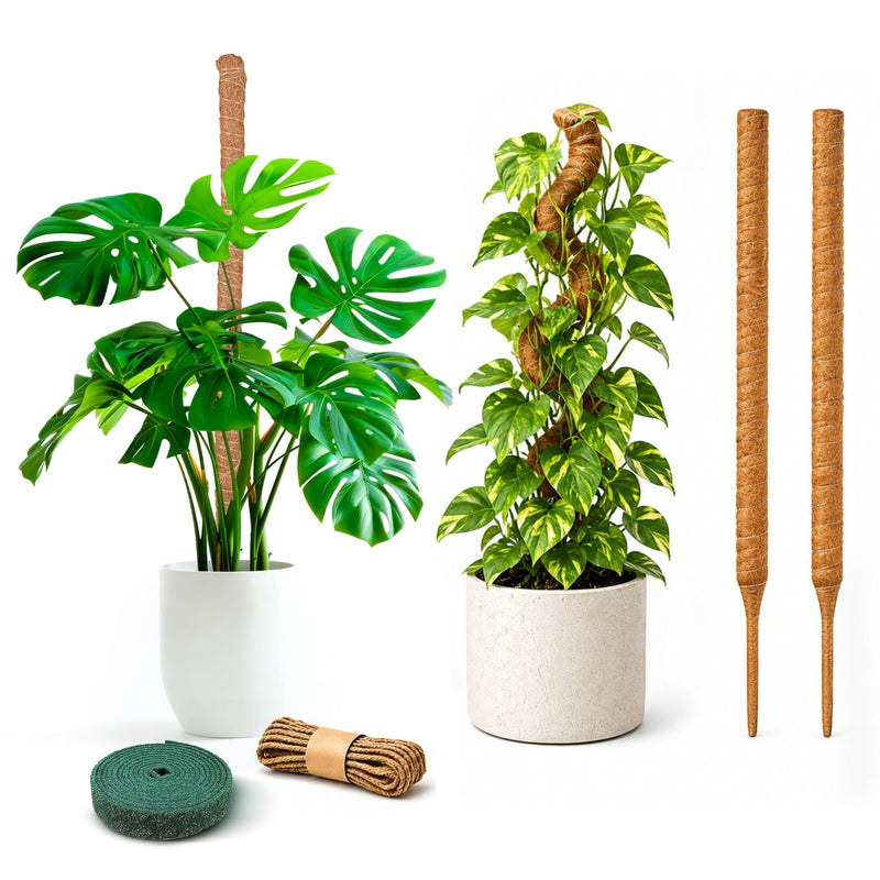 EcoNour 2 Pack Moss Poles for Plants – 28" Monstera Plant Support Stakes, Coir Plant Sticks for Indoor Climbing Plants, Pothos, Philodendron &