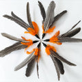 Cat Feather Toys Refill, 6 Pieces Cat Wand Attachments Da Bird Feathers Toy for Indoor Cats 6 PCS Cat Toy Feather Refills