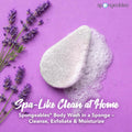 Spongeables Anti Cellulite Body Wash in a 20+ Wash Sponge, Lavender, 1 Count Lavender 1 Count (Pack of 1)