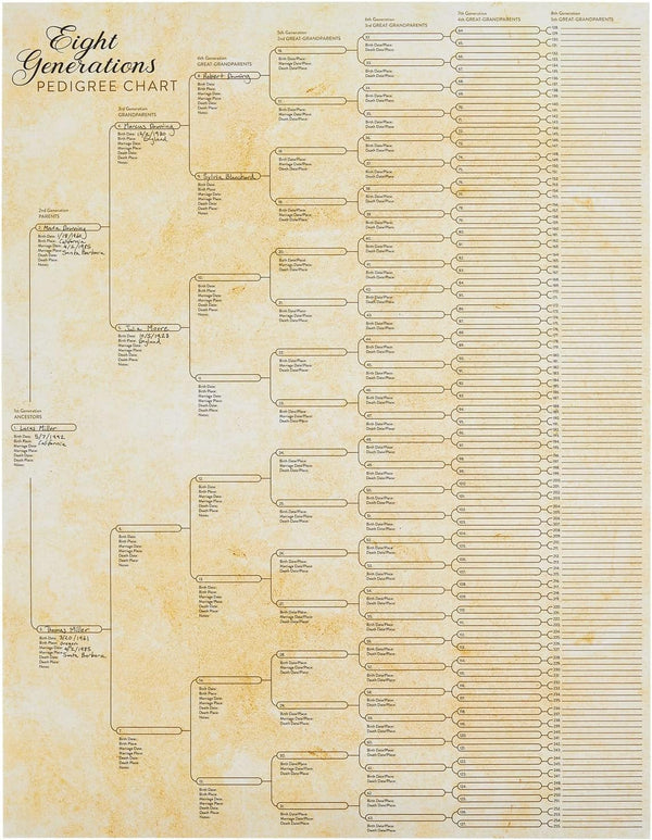 Okuna Outpost Family Tree Charts to Fill in - 8 Generation Genealogy Charts with 255 Name Spaces - Blank Family Tree Posters on Poster Paper for