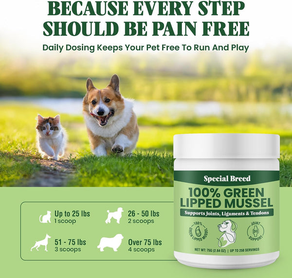 Green Lipped Mussel Powder for Dogs & Cats - 100% New Zealand Green Lipped Mussels - Natural Hip & Joint Supplement for Joints, Tendons,