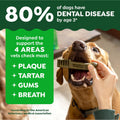 Greenies Original Regular Natural Dental Care Dog Treats, 12 Oz. Pouch (12 Treats)