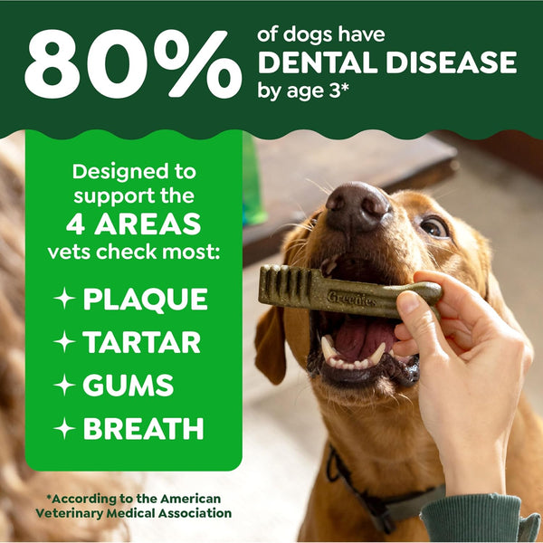Greenies Original Petite Natural Dental Care Dog Treats, 6 Oz. Pouch (10 Treats)
