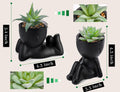 Der Rose Set of 2 Fake Plants Artificial Succulent Plants for Office Desk Accessories Black Bathroom Home Room Aesthetic Decor Indoor Black 2