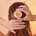 Seek Bamboo - Ginger Shampoo Bar ÃÂ¢ÃÂÃÂ Stimulating & Nourishing with Avocado, Cocoa & Shea Butters, Plastic-Free for All Hair Types (Ginger)