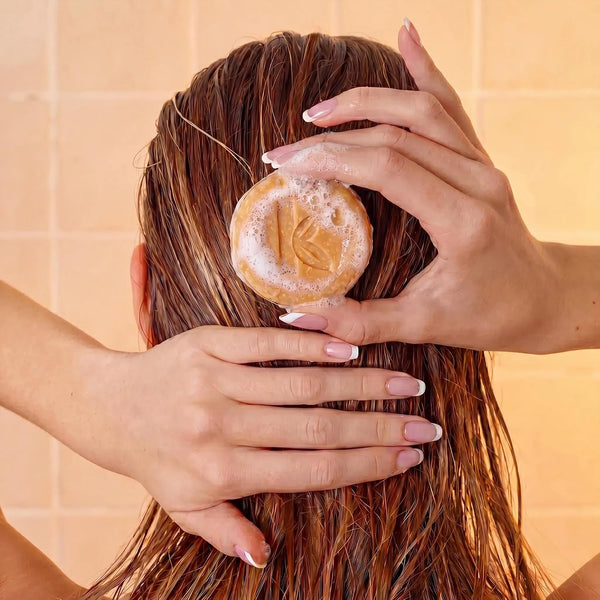 Seek Bamboo - Ginger Shampoo Bar ÃÂ¢ÃÂÃÂ Stimulating & Nourishing with Avocado, Cocoa & Shea Butters, Plastic-Free for All Hair Types (Ginger)