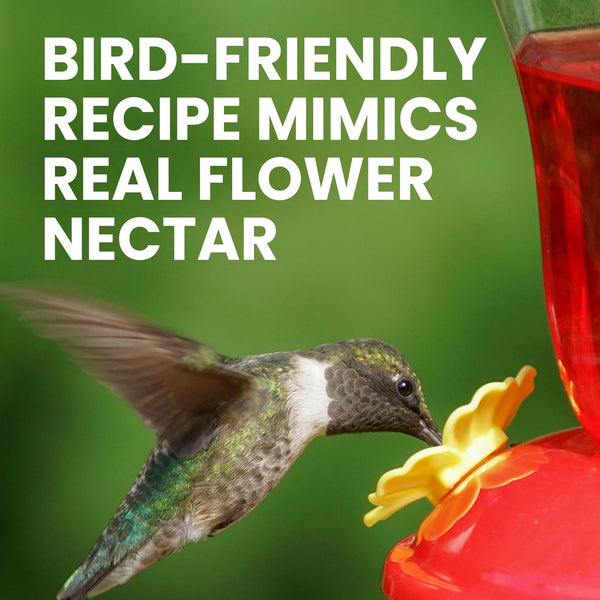 Perky-Pet Hummingbird Instant Nectar Powder Concentrate - 2 lb Bag - 244SFB - Makes 192 oz of Humming bird Liquid Food Nectar - 100% Sucrose