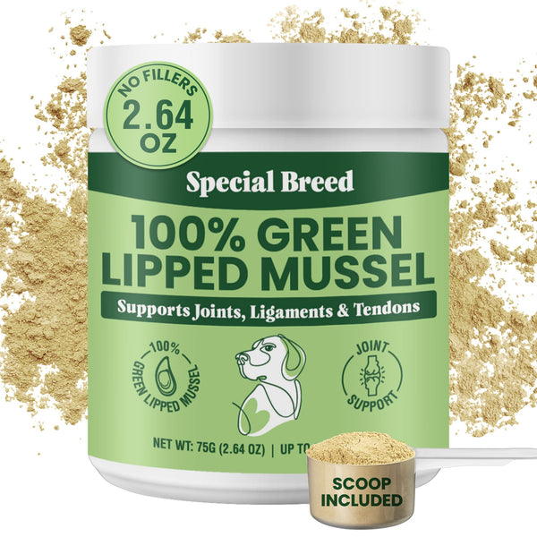 Green Lipped Mussel Powder for Dogs & Cats - 100% New Zealand Green Lipped Mussels - Natural Hip & Joint Supplement for Joints, Tendons,
