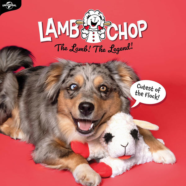 Multipet Lamb Chop Dog Plush Toy - Squeaky Toy for Small & Medium Dogs - Extra Soft Plush - Stuffed Animal for Cuddling & Playing (10", Cream, 5