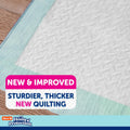 Hartz Home Protection Mountain Fresh Scented Dog Pads, XXL 20 Count, Super Absorbent & Won'T Leak, Odor Eliminating