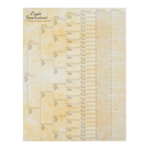Okuna Outpost Family Tree Charts to Fill in - 8 Generation Genealogy Charts with 255 Name Spaces - Blank Family Tree Posters on Poster Paper for