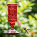 More Birds Red Jewel Hummingbird Feeder, Glass Bottle, 5 Feeding Ports and 20-Ounce Nectar Capacity (76IN) 23 oz Nectar Capacity Red