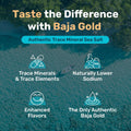 Baja Gold Mineral Sea Salt - Organic Natural Grain Salt for Cooking & Baking | Authentic Baja Salt | Ideal for All Culinary Creations | 1 Lb.