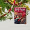 Hallmark Keepsake Christmas Ornament, Harry Potter and the Chamber of Secrets, Gifts for Harry Potter Fans