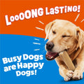 Purina Busy Bone Large Dog Chew Treats, Peanut Butter Flavor, 6 ct Pouch Peanut Butter 1.31 Pound (Pack of 1)