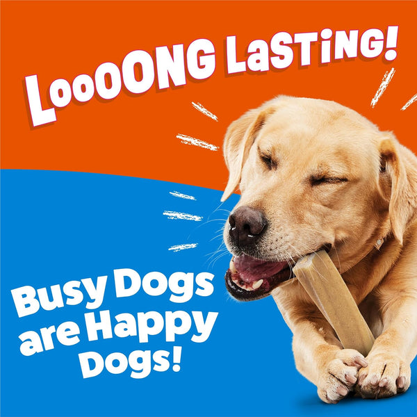Purina Busy Bone Large Dog Chew Treats, Peanut Butter Flavor, 6 ct Pouch Peanut Butter 1.31 Pound (Pack of 1)