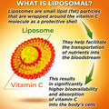 Liposomal Vitamin C Capsules - 1500Mg - Made with Organic Acerola Cherries & Camu Camu, High Potency Vitamin C Liposomal - Immune Support