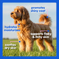 Skin and Coat Supplement for Dogs, Cats | Taily Liquid Collagen for Dogs | Itch Relief for Dogs with Allergies, with Grass Fed Collagen, Biotin,