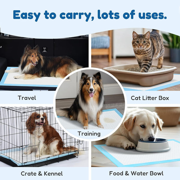 FluffyDream Super Absorbent Waterproof Dog and Puppy Pet Training Pad, Housebreaking Pet Pad,Blue (17.6"x23.6" (50PCS)) 17.6"x23.6"(50PCS)