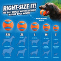 Chuckit! Ultra Ball Dog Toy - Medium Bouncy Fetch Balls For Dogs 20-60 lbs - Made from Durable Rubber - Floating Water Pet Toys - Size Medium -