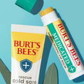 Burt's Bees Medicated Lip Balm, With Eucalyptus Oil and Menthol, Tint-Free, Natural Origin Lip Care, 2 Tubes, 0.15 oz. Medicated 2 Count (Pack of 1)