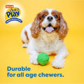 Hartz DuraPlay Bacon Scented Dog Toys, Small (Assorted Color) Small Ball 1 Count