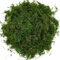 Generic Usmola Fake Moss, Artificial Green Moss for Potted Plants Fairy Garden Accessories, 4OZ (Fresh Green) 4 OZ