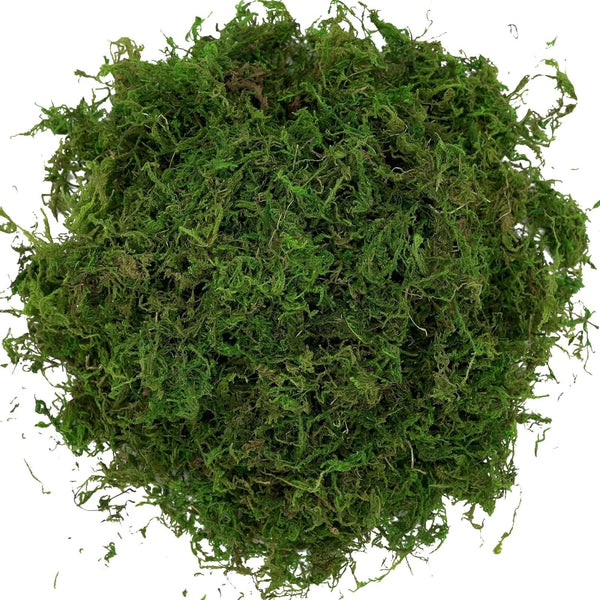 Generic Usmola Fake Moss, Artificial Green Moss for Potted Plants Fairy Garden Accessories, 4OZ (Fresh Green) 4 OZ