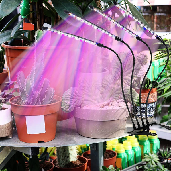 LEOTER Grow Light for Indoor Plants - Upgraded Version 80 LED Lamps with Full Spectrum & Red Blue Spectrum, 3/9/12H Timer, 10 Dimmable Level,