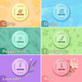CalmNFiz 6 Pack Shower Steamers Aromatherapy, Birthday Gifts for Women Men, Mother’s Day Gifts for Wife Mom Grandma Daughter Teen, Relaxation Self