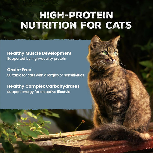 Blue Buffalo Wilderness Paté Variety Pack (Chicken, Salmon, and Duck) Adult Wet Cat Food, High-Protein & Grain-Free Recipes Enhanced with