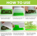 EBaokuup 5 Pcs Seed Sprouter Tray with Drain Holes - BPA Free Seed Germination Propagation Trays, Soil-Free Wheatgrass Bean Sprouts Microgreens