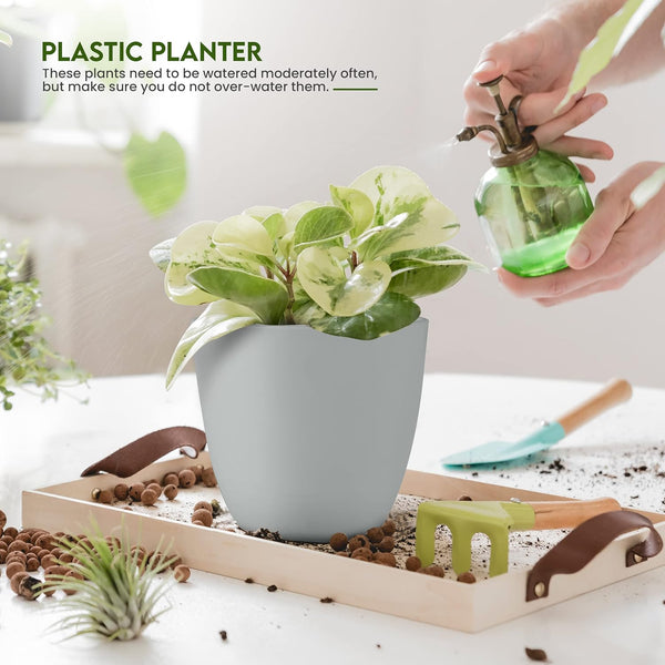 Utopia Home - Plant Pots Indoor with Drainage - 7/6.6/6/5.3/4.8 Inches Flower Pots for Indoor Planter - 5 Pack Plastic Planters - Ideal for
