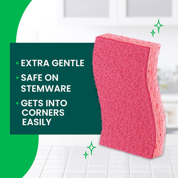 Scotch-Brite Delicate Clean Non-Scratch Scrub Sponge, 3 Pack 3 Count