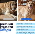 Skin and Coat Supplement for Dogs, Cats | Taily Liquid Collagen for Dogs | Itch Relief for Dogs with Allergies, with Grass Fed Collagen, Biotin,
