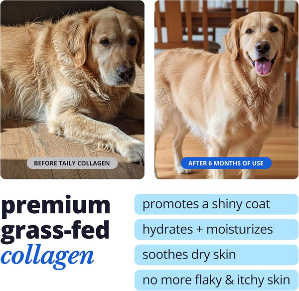 Skin and Coat Supplement for Dogs, Cats | Taily Liquid Collagen for Dogs | Itch Relief for Dogs with Allergies, with Grass Fed Collagen, Biotin,