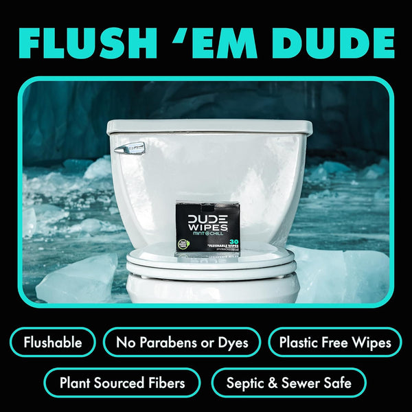 DUDE Wipes - On-The-Go Flushable Wipes - 1 Pack, 30 Wipes - Mint Chill Extra-Large Individually Wrapped Adult Wet Wipes - Eucalyptus & Tea Tree
