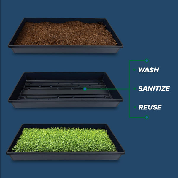 10 Plant Growing Trays (No Drain Holes) - 20" x 10" - Perfect Garden Seed Starter Grow Trays: for Seedlings, Indoor Gardening, Growing