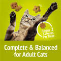 Purina Friskies Party Mix Morning Much Crunch Cat Treats, (10) 2.1 oz Pouch 2.1 Ounce (Pack of 10)