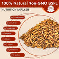 BUNTIE WORMS Dried Black Soldier Fly Larvae 5LB, High Protein Chicken Feed, 100% Natural Non-GMO – Treat for Chicken More Calcium Than Mealworms,