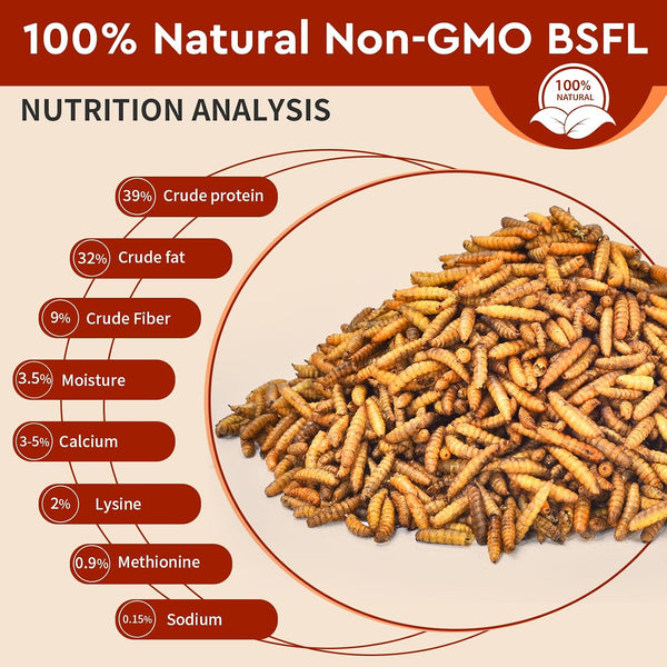 BUNTIE WORMS Dried Black Soldier Fly Larvae 5LB, High Protein Chicken Feed, 100% Natural Non-GMO – Treat for Chicken More Calcium Than Mealworms,
