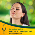Benzedrex Nasal Decongestant Inhaler – Medicated Vapor Relief for Sinus Pressure, Nasal Congestion, Allergies, Hay Fever & Colds, 12 Count