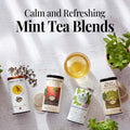 The Republic of Tea - Orange Ginger Mint Herbal Tea, 36 Tea Bag, Tin | Caffeine-free 36 Count (Pack of 1)