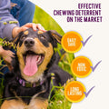 Health Extension Advanced Chew Solution with 3 Bittering Agents 8oz - Effectively Stops Licking, Biting, and Chewing in Pets